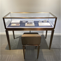 Vitrine en verre luxueuse pour l'affichage de bijoux sur mesure, vitrine de magasin de bijoux, mobilier de magasin de détail de bijoux, vitrine d'exposition