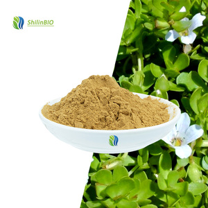 Bubuk Ekstrak <span class=keywords><strong>Bacopa</strong></span> Monnieri Food Grade 10:1 <span class=keywords><strong>20</strong></span>% Bubuk Bacosides - Product Image 3