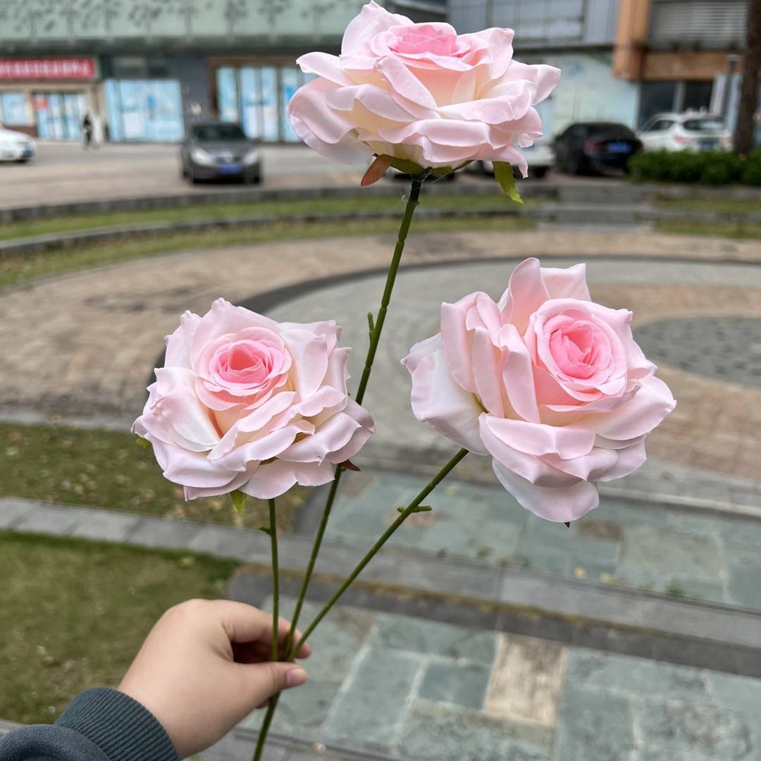 3 Lafite มุมกุหลาบสีชมพู