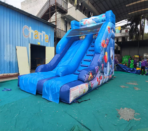 Toboggan à eau/sec <span class=keywords><strong>gonflable</strong></span> commercial Ocean World <span class=keywords><strong>Petit</strong></span> toboggan à eau bon marché Piscine commerciale Château sautant pour les enfants - Product Image 6