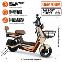 Vélo Électrique Adulte Style Rétro 60V avec Pare-Brise Urbain, Grand Panier Avant et Double Siège avec Dossier Arrière – Vente en Gros Usine