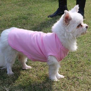 Camiseta de Primavera/Verano para Perro, Moderna y de Alta Calidad, Chaleco de Poliéster y Algodón Estampado, Tallas XS/<span class=keywords><strong>S</strong></span>/M/L para Perros, Venta al por Mayor a Precio Económico - Product Image 2