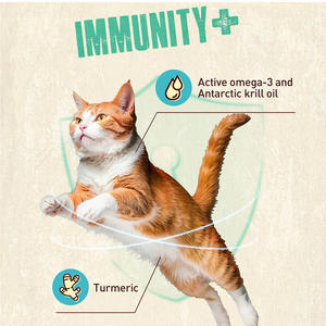 יצרן יצוא בקלות לעיכול גבוה-חלבון יבש פונקציונלי - Product Image 2