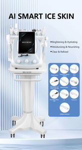 Máquina Inteligente de Análisis de Piel con Tecnología de Hielo Promax, Mejora la Opacidad de la Piel, Elimina los Puntos Negros, Reduce los Poros, Exfolia 2026 - Product Image 2