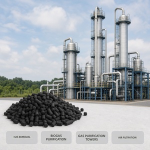 Carbón Activado Granular Impregnado para la Eliminación de H2S, Purificación de Gases |   Alta Capacidad de Sulfuro |   Yodo 800-1200 <span class=keywords><strong>Mg</strong></span>/g |   Bolsa de 25 kg - Product Image 4