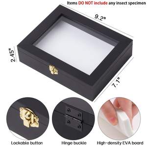 Panneau de mousse d'encastrement en verre, transparent, en bois de pin, <span class=keywords><strong>boite</strong></span> de présentation d'insecte, pour échantillons en verre, 1 pièce - Product Image 4