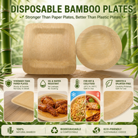 Assiettes jetables carrées en fibre de bambou écologiques et compostables pour le camping, ensemble de vaisselle légère et biodégradable