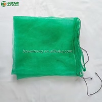 WEINONG Virgin HDPE Ademend Groen Mesh Dadelzakje 70x90cm 40g GSM voor het beschermen van dadels in de landbouw