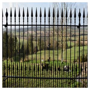 <span class=keywords><strong>Portail</strong></span> en fer forgé résistant aux intempéries, faible coût d'entretien - Product Image 1