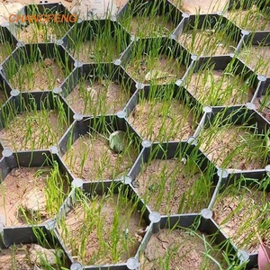 Griglia Stabilizzatrice in HDPE Permeabile per Prato, Ghiaia, Vialetti, Parcheggi, Drenaggio per Giardini e Dighe - Product Image 4