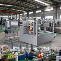 Machine d'emballage automatique de liquides en sachets préformés, machine d'emballage de détergent liquide pour emballages de poids variable de 100 g à 5 kg