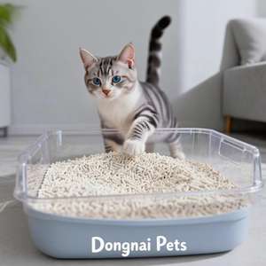 Arena para Gatos Biodegradable y Desechable al por Mayor, Súper Absorbente, Arena para Gatos de Tofu, Grado Alimenticio para Plantas, para Baños de Gatos - Product Image 1