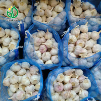 Prix CIF pour Valparaíso, Chili, de l'ail blanc pur frais biologique chinois de la dernière récolte