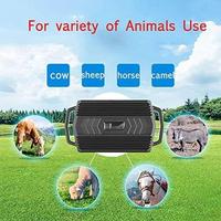 Traceur GPS multifonctionnel pour animaux de compagnie, collier pour animaux, grande capacité, design étanche, anti-perte, localisateur d'animaux, compatible Android