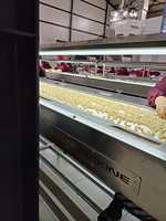 SUISER MAKINE Sorteer- en selectietafel van roestvrij staal voor noten, fruit, groenten, bonen en zaden