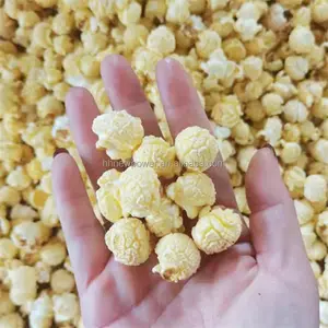 Amerikaanse Bolvormige Popcorn Complete Set Apparatuur Gepofte Voedselproductielijn