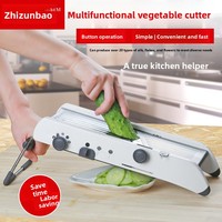 Onafhankelijke Stationele Handmatige High-end Multifunctionele Fruit- & Groentegereedschappen Groentesnijder Shredder Snijder Aardappelrasp