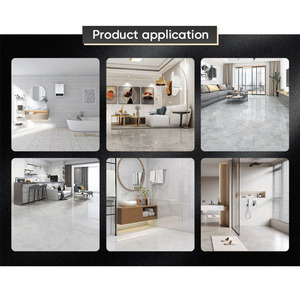 600*600 types <span class=keywords><strong>de</strong></span> couleur haute qualité résistant à l'usure couleur unie carrelage sol et mur carrelage - Product Image 5