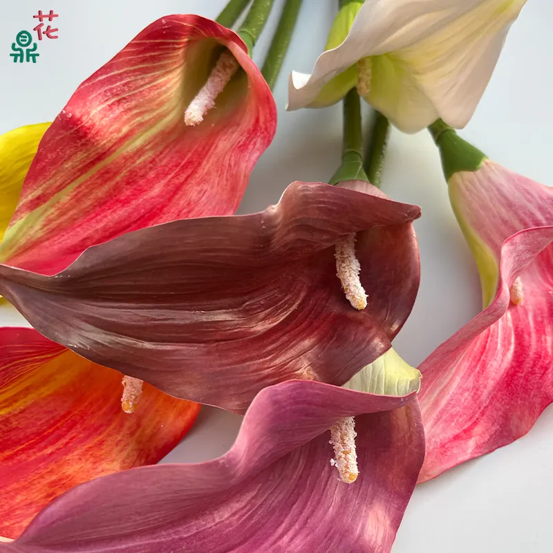 Branche unique Calla Lily bec pointu tête de fleur incurvée ameublement fleurs artificielles mise en page intérieure fleurs en soie