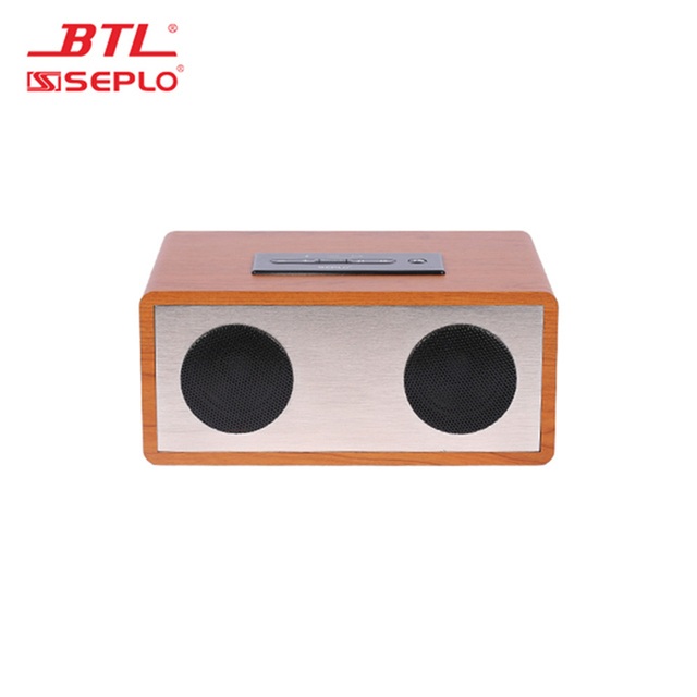 OEM Customized Logo Professional Party Karaoke Player Support BT/ AUX / XLR / RCA / USB / Home Cinema Speaker