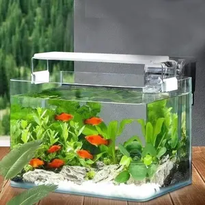 Büro Großhandel Cherlam Opti white Mini Glas Tank Fisch Aquarium Ökologische Aquarien Mit Filter Aquarium liefert Zubehör