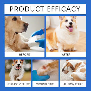 Hautpflege gel für Hunde katze Haustiere Hot Spots Wunden Haustier bedarf Bestseller Haustier produkt - Product Image 5