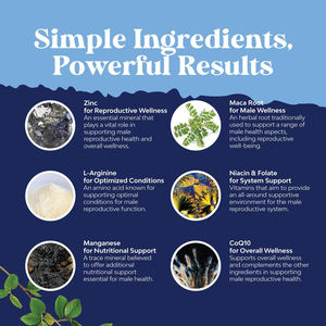 OEM untuk Winstown suplemen Herbal organik pria <span class=keywords><strong>pil</strong></span> kesuburan pria alami untuk mempromosikan bantuan kehamilan untuk kesuburan pria - Product Image 3