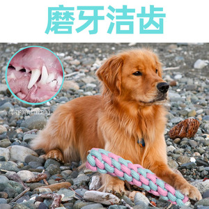 Cotton Rope Chew Toy For <b>Dogs</b> Teething Teeth Cleaning Indoor Use Pink Blue Braided - Product Image 5