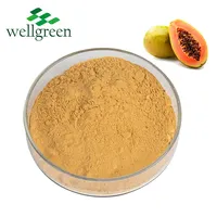 中国天然価格有機葉粉末酵素フルーツの利点種子発酵パパイヤエキス