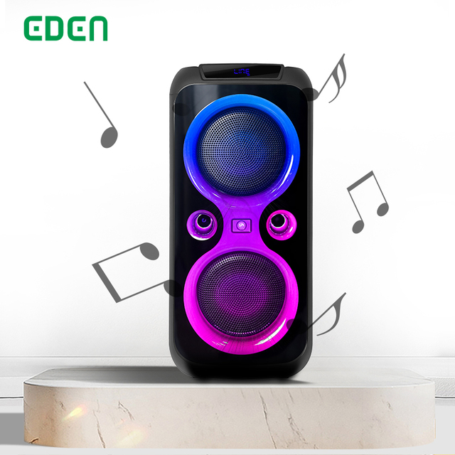 Outdoors 8 Inch USB Wireless USB Original BlueTooth DJ Bass Portable Karaoke Party 310 Speaker With LED Light Party Speakers