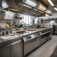 Cuisinière à induction professionnelle haute puissance 3500W en acier inoxydable avec foyer concave, facile à nettoyer, équipement de cuisine commercial