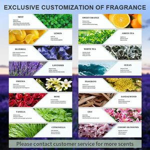 Difusor de Aroma de Larga Duración con Aroma a Té Blanco <span class=keywords><strong>Westin</strong></span>, Difusor de Varillas sin BPA, Ecológico y de Lujo para Uso en Hoteles y Hogares - Product Image 3