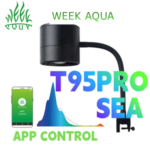 <span class=keywords><strong>Lampe</strong></span> <span class=keywords><strong>LED</strong></span> WEEK AQUA pour <span class=keywords><strong>aquarium</strong></span>, lumière bleue pour récif, lumière marine pour corail, <span class=keywords><strong>lampe</strong></span> pour <span class=keywords><strong>eau</strong></span> salée et <span class=keywords><strong>eau</strong></span> douce, pour <span class=keywords><strong>aquarium</strong></span> <span class=keywords><strong>de</strong></span> récif <span class=keywords><strong>de</strong></span> <span class=keywords><strong>mer</strong></span> rouge - Product Image 1