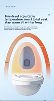 Produits pour la maison intelligente : Toilettes intelligentes de style familial russe, très demandées