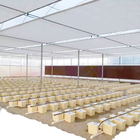 Serre horticole multi-travées CMA1080 de grande taille avec couverture en polycarbonate et structure galvanisée à chaud pour la culture commerciale de légumes