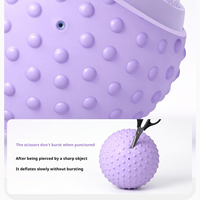 Ballon de Pilates Mini en PVC de Haute Qualité 25cm Antidérapant pour Renforcement du Core, Tonification des Fessiers, Barre et Yoga, Entraînement à Domicile