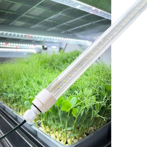 <span class=keywords><strong>Luces</strong></span> de Cultivo en Tubo <span class=keywords><strong>LED</strong></span> de Espectro Completo T8 de 4FT 5FT 6000K 6500K para Lechuga y Microgreens - Product Image 5