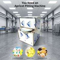 Automatische Longan-ontpitter, abrikozenontpitter, zaadverwijderaar, fruitverwerkingsmachine met motor, hoge capaciteit 48 stuks/min