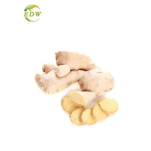 Gingerol-مستخلص الزنجبيل, مستخلص الزنجبيل 5% ، مستخلص الزنجبيل 5% ، مستخلص الزنجبيل 20% ، الزنجبيل