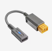 Câble de charge USB-C pour Wii, adaptateur chargeur 12 cm 45 W PD Type C, convertisseur d'alimentation pour Nintendo