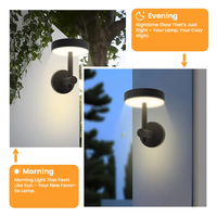 Lampe murale solaire multicolores OEM, éclairage extérieur personnalisé, source LED 10W, IP65, étanche, lumière de jardin