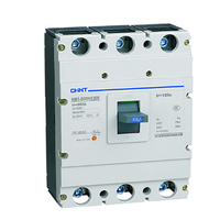 Disjoncteur en cuivre Chint NM1 NM1-160 NM-125 NM-250 NM-125S NM-250S Capacité de coupure S/H/R Tension nominale 125V/250V