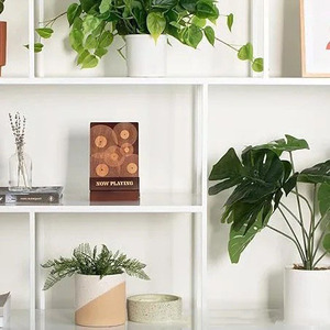 Support d'affichage modulaire en bois pour disques vinyles, avec clips plats pour rangement de CD - Product Image 4
