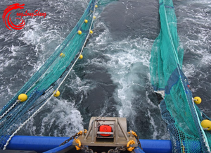 Một Trawler Tôm Với <span class=keywords><strong>L</strong></span>ưới Treo Phía Ngoài <span class=keywords><strong>L</strong></span>ưới Đánh Cá - Product Image 2