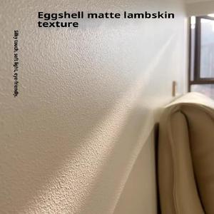 Pintura Acrílica Ecológica para Exteriores, Revestimiento Plano Anti-fisuras, Pintura de Emulsión Impermeable - Product Image 2