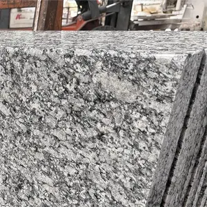 Factory Price Guangdong Granite Natural Stone Ranite Slabs Tiles Treads Exterior Stone