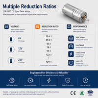 Moteur à engrenages CC à couple élevé 25RS370 6V 12V 24V avec engrenages droits en métal pour serrures intelligentes et distributeurs automatiques, service OEM