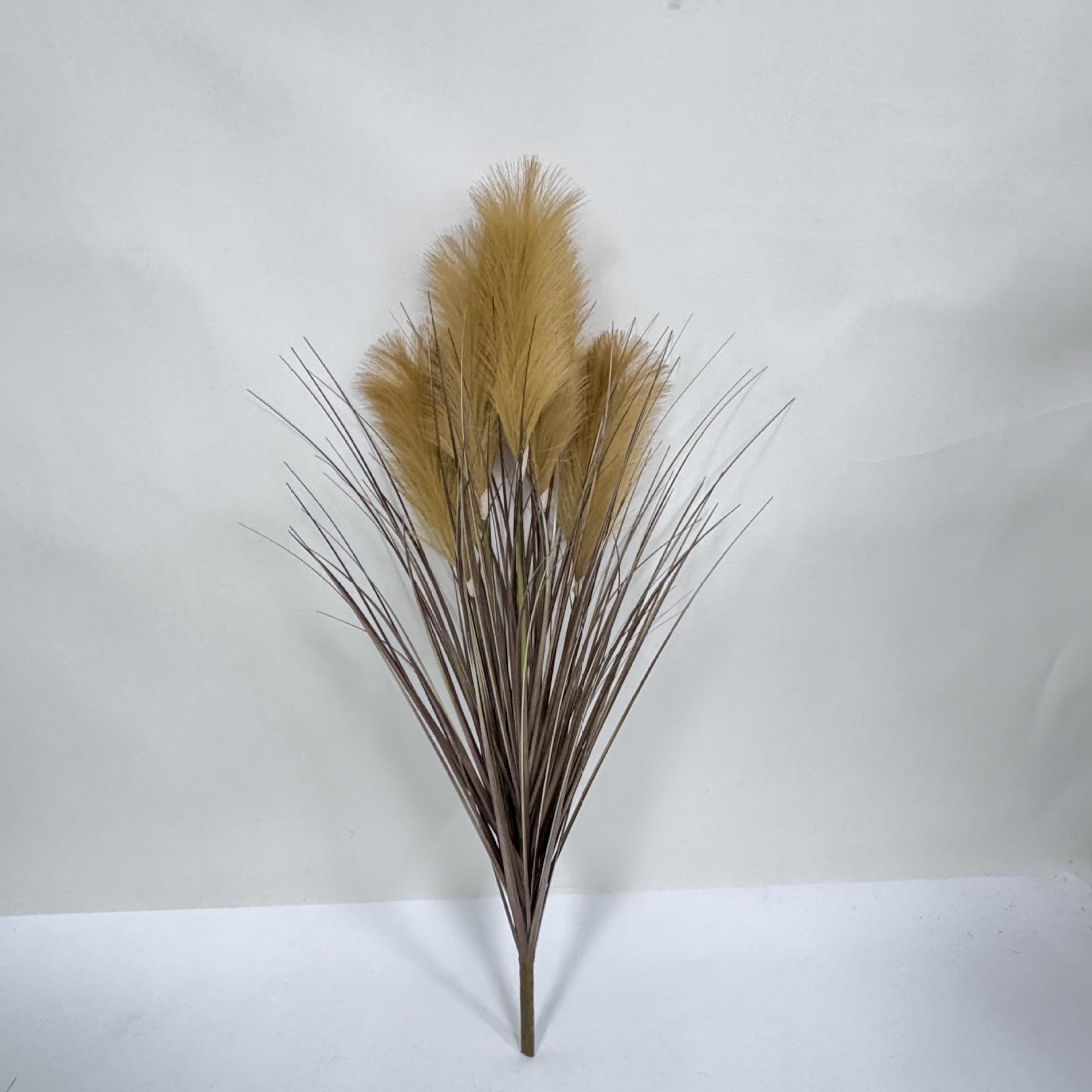 Dark brown 85cm beige five-headed reed