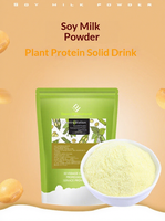 Poudre de lait de soja Dayou International, matière première, saveur originale, 1 kg, boisson instantanée pour petit-déjeuner, prête à boire, usage commercial