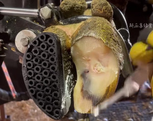 Khối cao su để bảo vệ bị thương bò móng Guốc/Bò móng Guốc cao su khối - Product Image 1